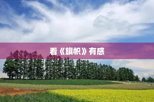 看《旗帜》有感 看《旗帜》有感