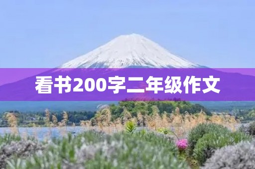 看书200字二年级作文