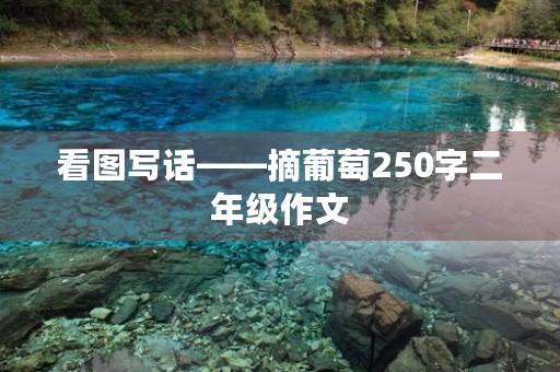 看图写话——摘葡萄250字二年级作文