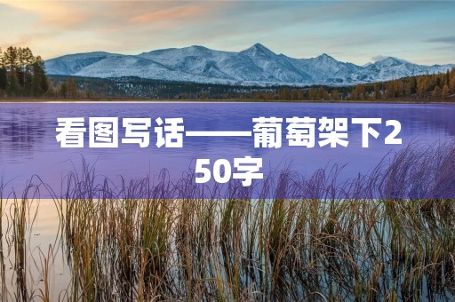 看图写话——葡萄架下250字