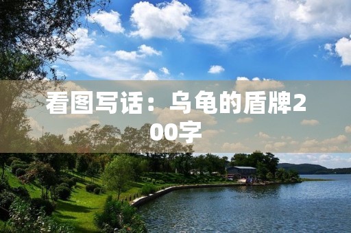 看图写话：乌龟的盾牌200字