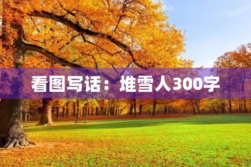 看图写话：堆雪人300字