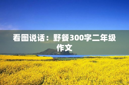 看图说话：野餐300字二年级作文