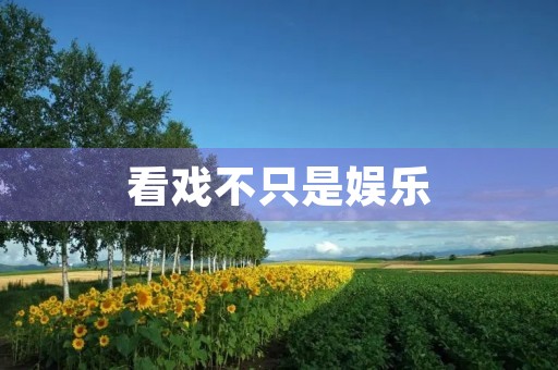 看戏不只是娱乐，更是一种文化体验