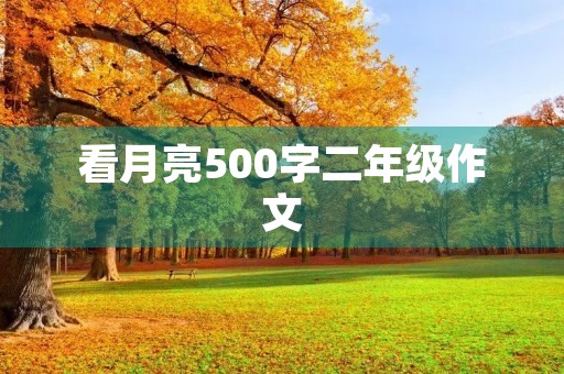 看月亮500字二年级作文
