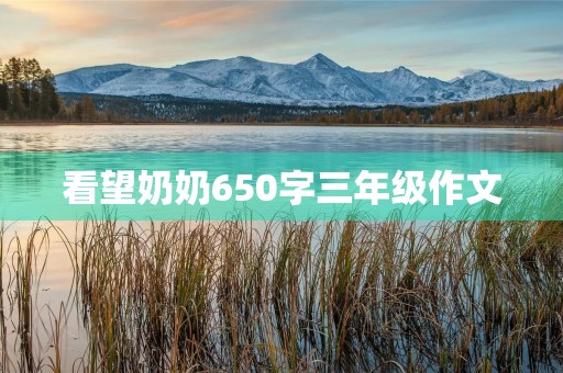 看望奶奶650字三年级作文