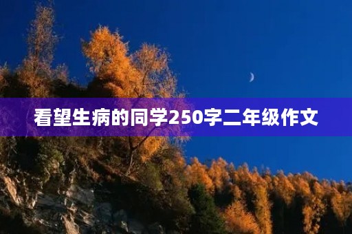 看望生病的同学250字二年级作文