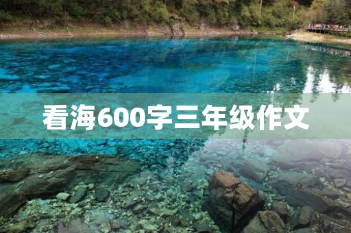 看海600字三年级作文