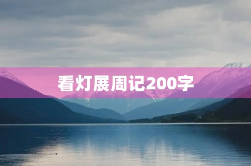 看灯展周记200字