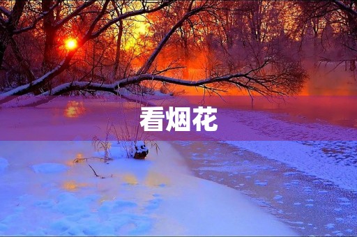 看烟花 看烟花