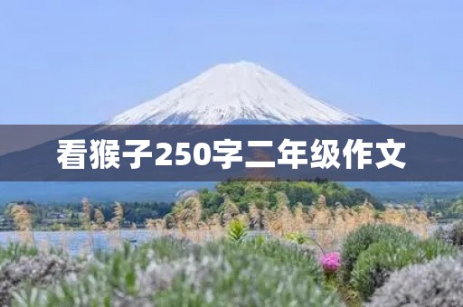 看猴子250字二年级作文