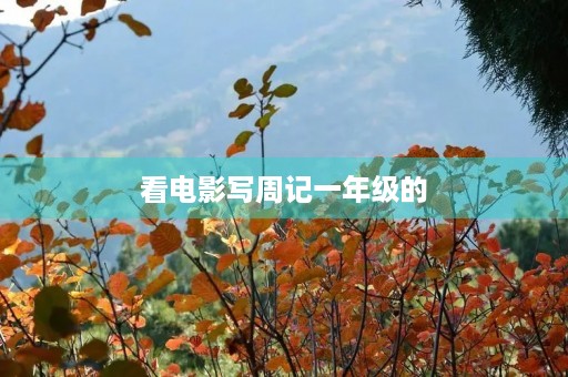 看电影写周记一年级的