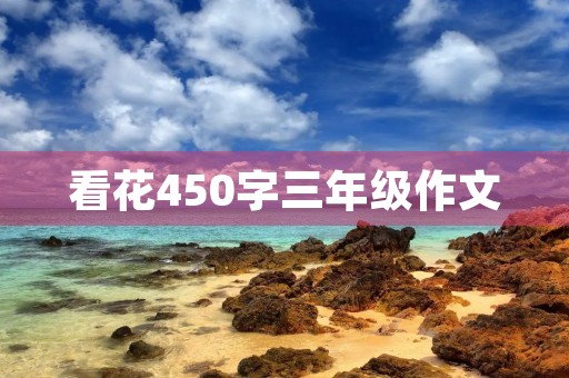 看花450字三年级作文