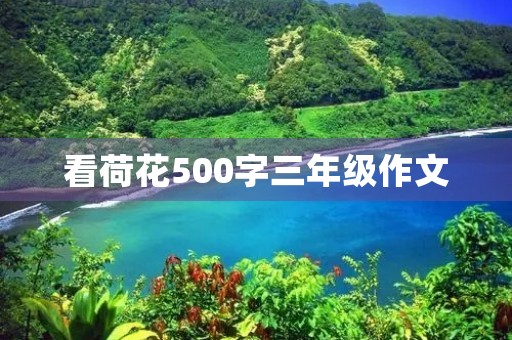 看荷花500字三年级作文 看荷花500字三年级作文