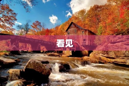 看见，读后感