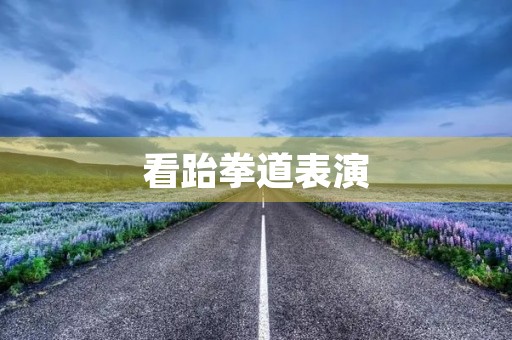 看跆拳道表演 看跆拳道表演