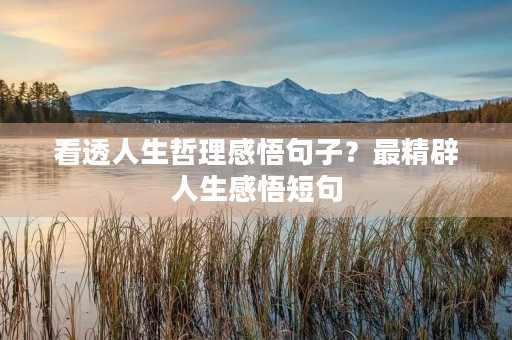 看透人生哲理感悟句子?最精辟人生感悟短句 看透人生哲理感悟句子?最精辟人生感悟短句