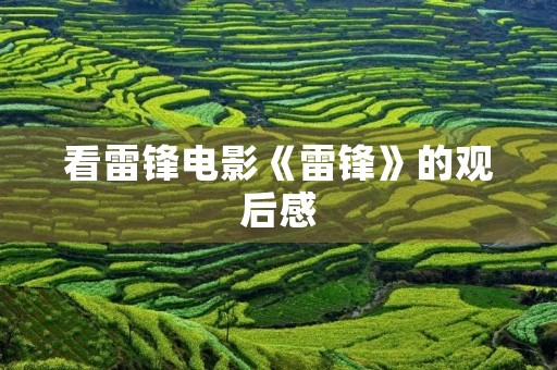 看雷锋电影《雷锋》的观后感