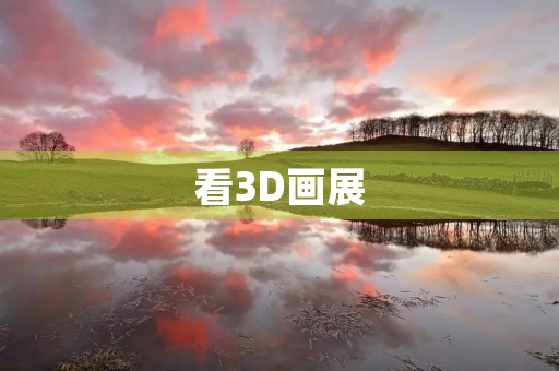看3D画展 看3D画展