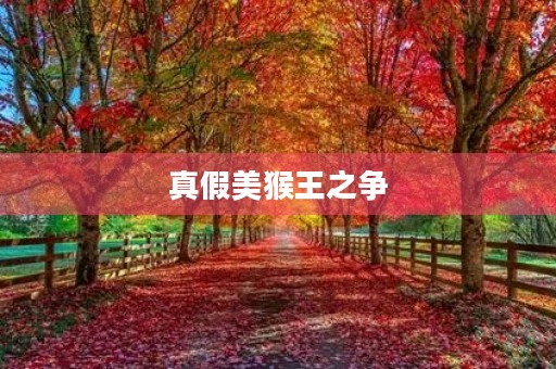 真假美猴王之争