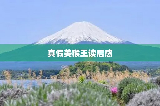 真假美猴王读后感