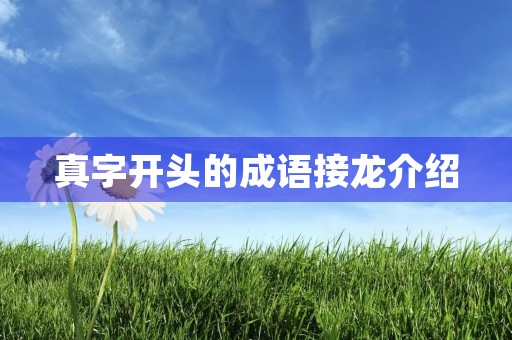 真字开头的成语接龙介绍 真字开头的成语接龙介绍