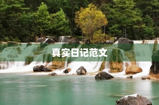 真实日记范文
