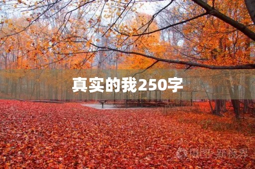 真实的我250字