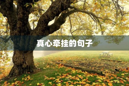 真心牵挂的句子(真心牵挂的句子想念一个人的歌)