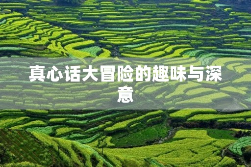 真心话大冒险的趣味与深意