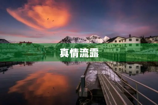 真情流露 真情流露