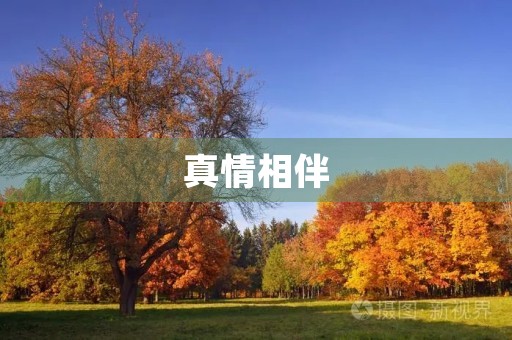 真情相伴，温暖人心