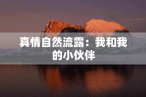 真情自然流露：我和我的小伙伴