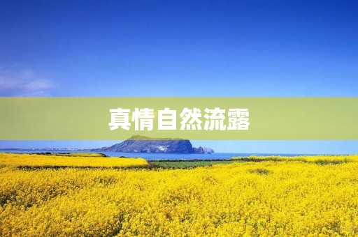 真情自然流露 真情自然流露