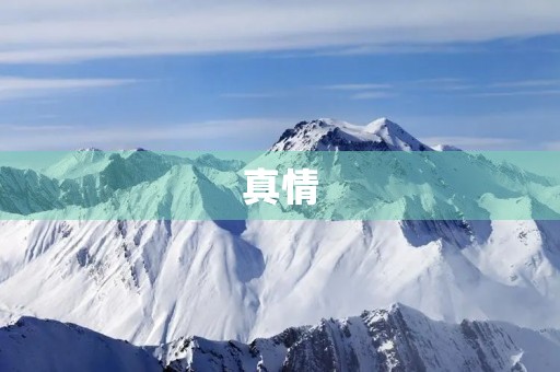 真情，是永恒的主题
