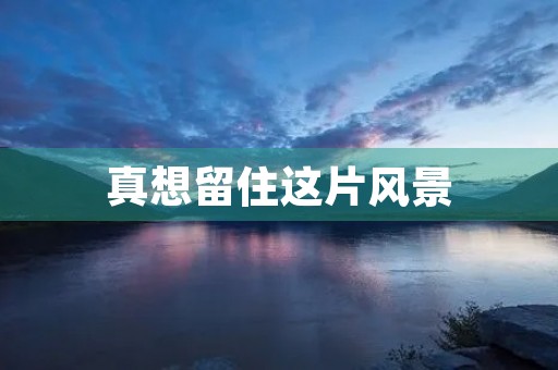 真想留住这片风景 真想留住这片风景
