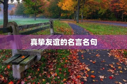 真挚友谊的名言名句(真挚友谊的名言名句有哪些) 真挚友谊的名言名句(真挚友谊的名言名句有哪些)