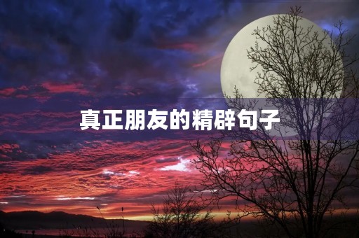 真正朋友的精辟句子(真正朋友的精辟句子经典短句)