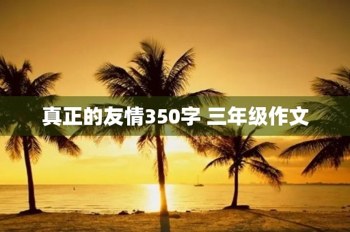 真正的友情350字 三年级作文