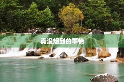 真没想到的事情 真没想到的事情