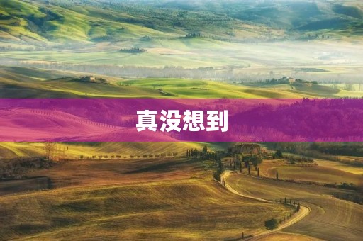 真没想到,这个世界上有太多让我们感到意外的事情。有时候我们会因为惊喜而感到高兴,有时候我们会因为意外而感到失落。无论怎样,这些真没想到的事情都会让我们感到震撼和惊奇。 真没想到,这个世界上有太多让我们感到意外的事情。有时候我们会因为惊喜而感到高兴,有时候我们会因为意外而感到失落。无论怎样,这些真没想到的事情都会让我们感到震撼和惊奇。