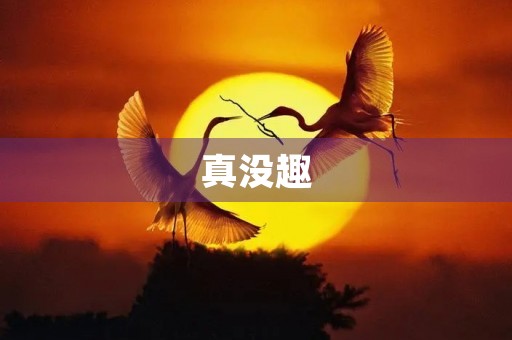 真没趣 真没趣