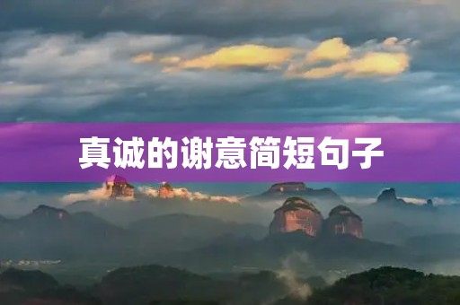 真诚的谢意简短句子,真诚的谢意简短句子高兴 真诚的谢意简短句子,真诚的谢意简短句子高兴