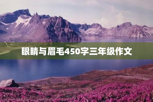 眼睛与眉毛450字三年级作文