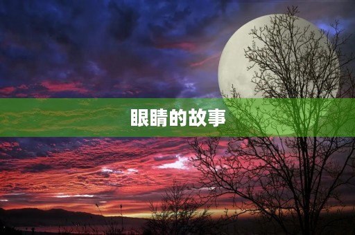 眼睛的故事