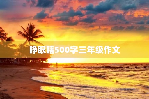 睁眼瞎500字三年级作文