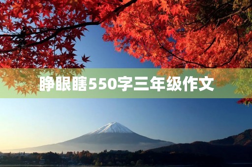 睁眼瞎550字三年级作文