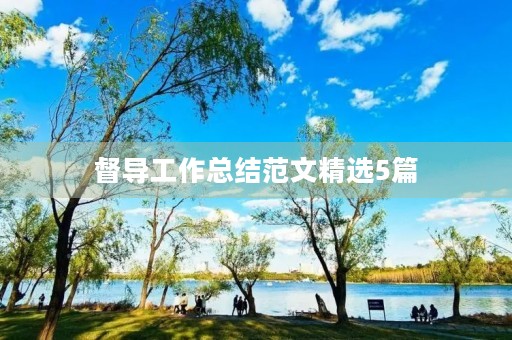 督导工作总结范文精选5篇