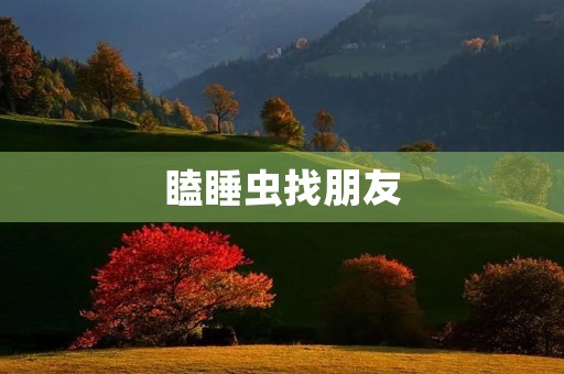 瞌睡虫找朋友 瞌睡虫找朋友