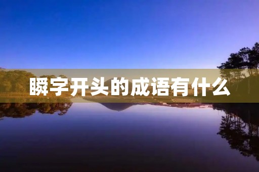 瞬字开头的成语有什么